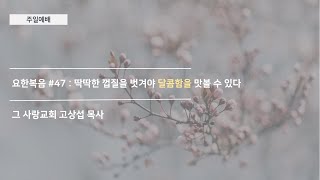 [주일예배] 요한복음 #46 : 딱딱한 껍질을 벗겨야 달콤함을 맛볼 수 있다