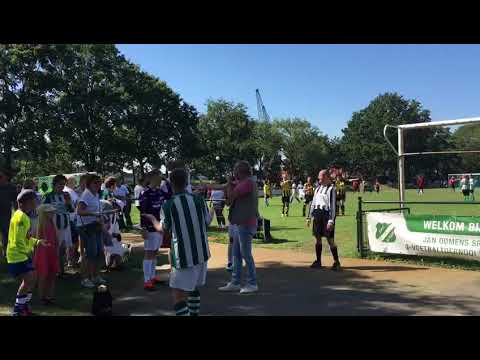 De reiger vliegt in Dongen