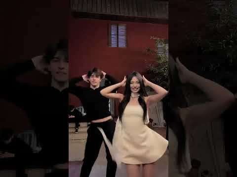 Cachorrinha da madame , cantor Zé da vea FT Arystan & Danastan #tokki #dance #tiktok #trending #fyp