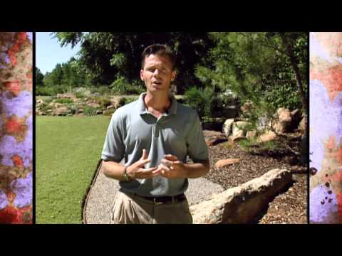 The History of Rock Gardening