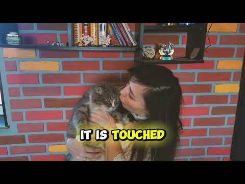 Ten things cats hate