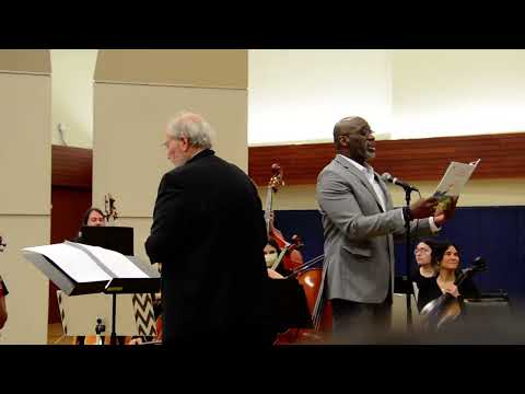 Dan Brown Wild Symphony Pt. 1 (feat. Chet Bashari Anekwe)