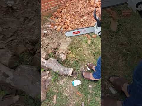 O stihl ms250 pode ser usado