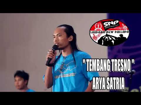 Tembang Tresno - New Pallapa - Arya Satria