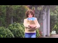 The Secret of All Viral Videos(Youtube Views Exploder August 2012)