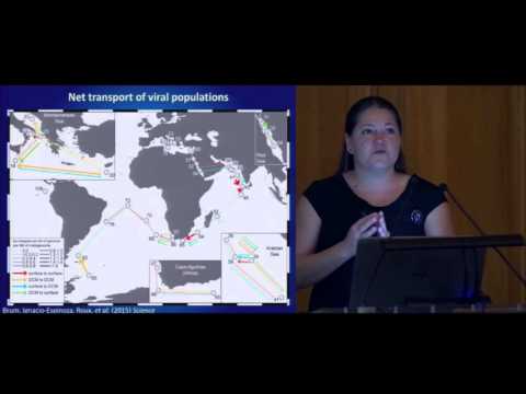 The Science of Tara Oceans - Science Paper - J.Brum