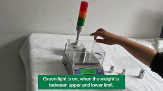 SKY-W with Tower Light to do HI/LO/OK weight check