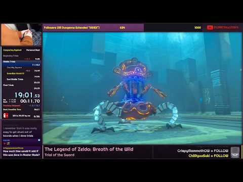 Trial of the Sword Speedrun in 38:53 - The Legend of Zelda: Breath of the Wild