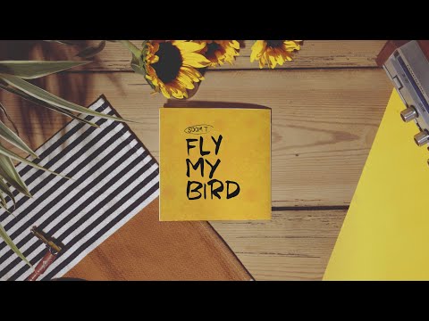 Soom T - Fly My Bird (Official Lyric Video)