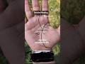 Age When Successful In Life Life Line Rahu Lines Palmistry Shorts Videos Online Learn