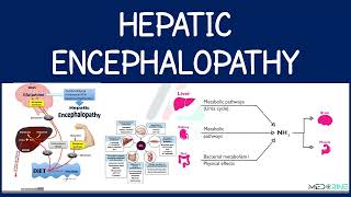 Hepatic Encephalopathy : (portal systemic encephalopathy) Explained
