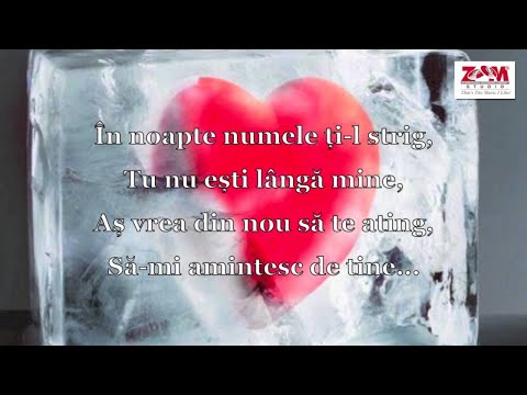 NICUSOR GUTA SI JACKSONA - CE INIMA DE GHEATA + VERSURI, ZOOM STUDIO