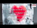 NICUSOR GUTA SI JACKSONA - CE INIMA DE ...