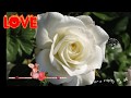 От Сердца к Сердцу... From heart to heart. 