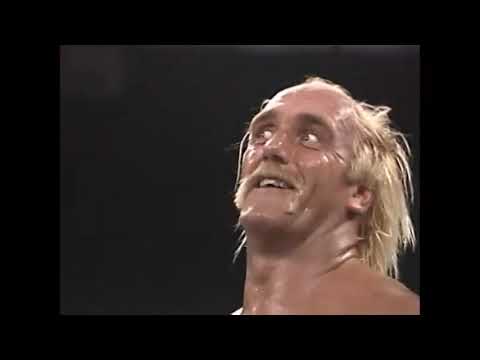 Hulk Hogan vs. Ric Flair     11 12 91