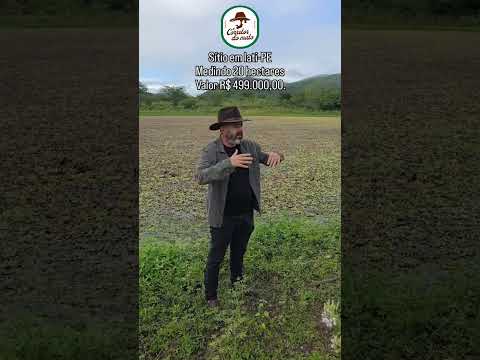 🌾 SÍTIO À VENDA EM IATI-PE – PEQUENO NO TAMANHO, GIGANTE NA CAPACIDADE DE PRODUÇÃO 🌾