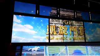 【スタホ4／スターホース4】スターホース4をやってみた(その94)〈セーヌドゥレーヴ⑦〉《凱旋門賞》