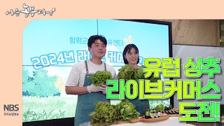 [나는농부다 297회] 유럽 상추 라이브커머스 도전!