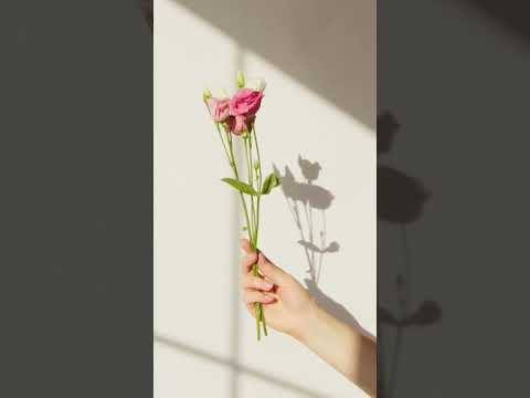 Hand flowers #hand #flowers #viralshorts