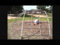 Ram Videos The Big Race