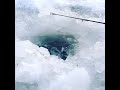 Фото Зимняя рыбалка стартовала на озере Койбагар ноябрь 2021 Карасуский район Костанайская обл Казахстан