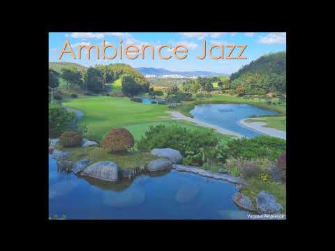 Ambience - jazz (Got That Feeling - Peter Sandberg) 🎹☕️🥁