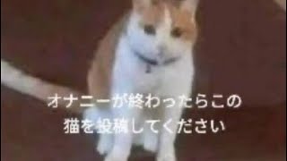 家庭版イニブする