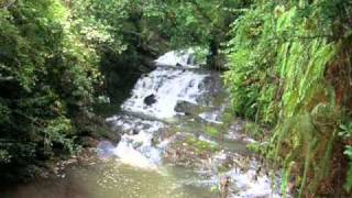 Download lagu Dante (pangnan  chanchiatman.aia) mp3