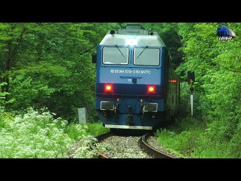 Horns Concert de Goarne By Jimmy 64-1019-0 in Defileul Crișului Repede Canyon - 19 May 2020