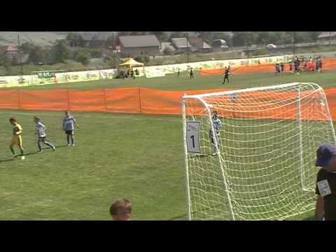 CS Petrolul 95  Ploiesti  - Zimbrul Chisinau Verde 2 - 0 ( 1 - 0 ) repriza I BJC 2014