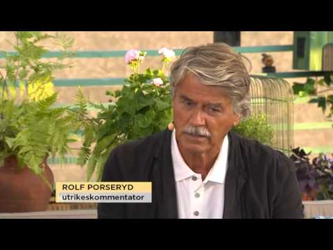 Kriget i Gaza: "Man måste hitta en politisk lösning" - Nyhetsmorgon (TV4)