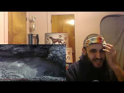 HIPPIE REACTS - PINK FLOYD - ECHOES - POMPEII