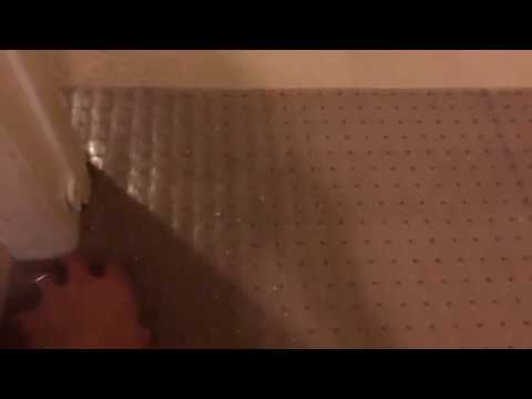 YouTube video about: Why does my cat sit outside my bedroom door?