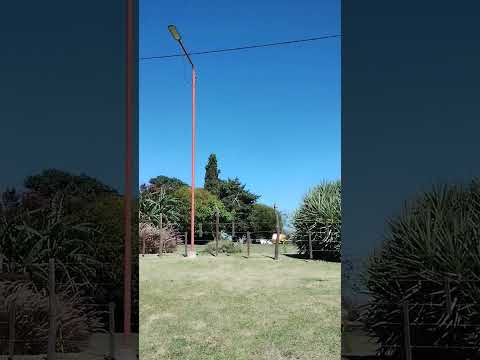 Sauce Pintos. Dto. Sauce. Paraná Campaña. Entre Rios. Cazal de Lechuzas!