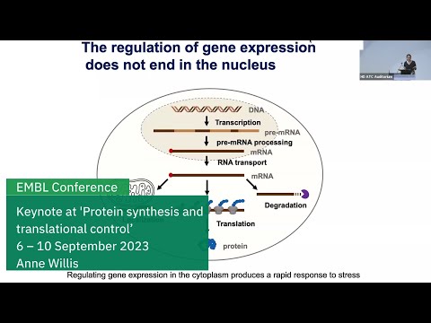 EMBL keynote lecture:  From stress adaptation to off-target immune response