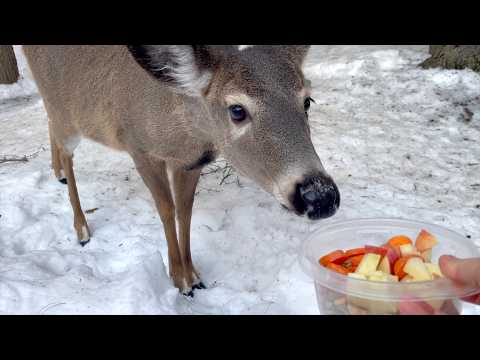 살짝 맛만 좀 볼래?