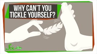 Why can't you tickle yourself?