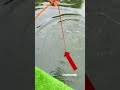 I found something CRAZY 🎣😳😨
