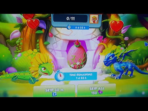 I got the Pixie dragon in Dragon mania legends