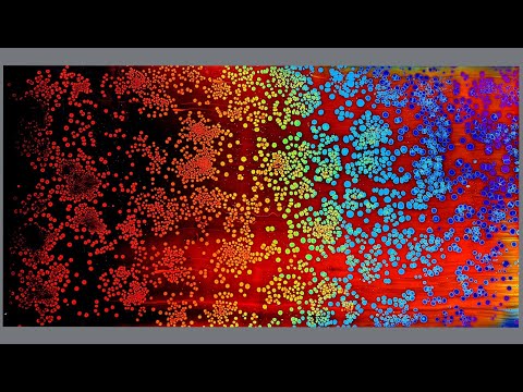 #1316 Amazing Cells In This Huge Acrylic Rainbow Swipe With Thinner Paints