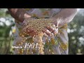 Making India