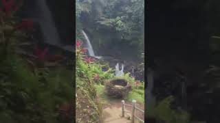 Download lagu Taman Sari Waterfall and natural pool mp3 Download lagu Taman Sari Waterfall and natural pool mp3