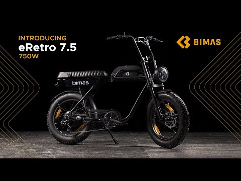 eRetro 750W Technical 🛠