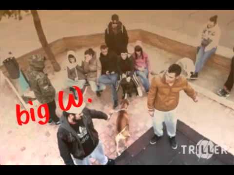 NGOST- reales (Big Walker ATRAP)