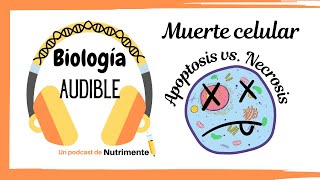 E4: Muerte Celular (Apoptosis vs. Necrosis)