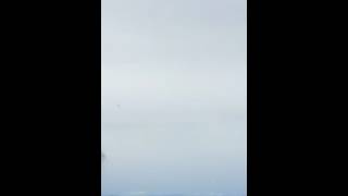 Download lagu 10lbs C4 Vs 500lb bomb mp3