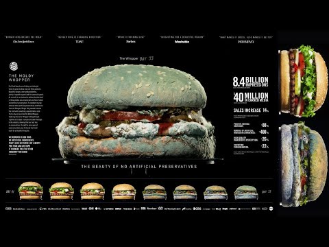 Burger King: The Moldy Whopper - Case Study