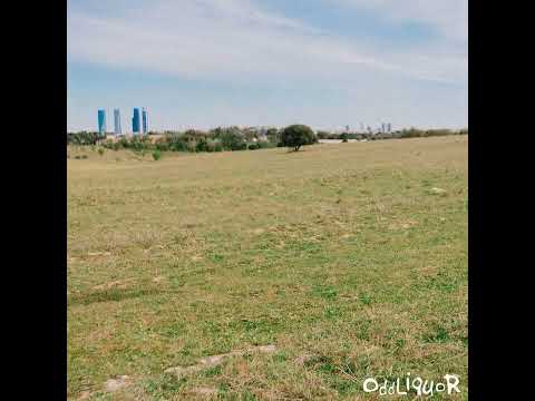 oddliquor - cursiii remix