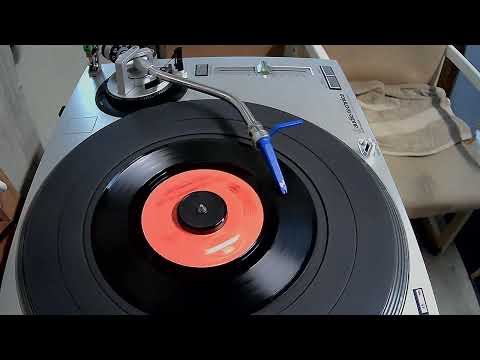 Sunday Will Never Be The Same ~ Spanky And Our Gang ~ 1967 ~ Styrene