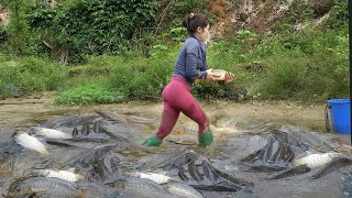 Young Girl Bought a Small Pond, Drained The Water in The Pond, The Result Was Beyond Expectation!